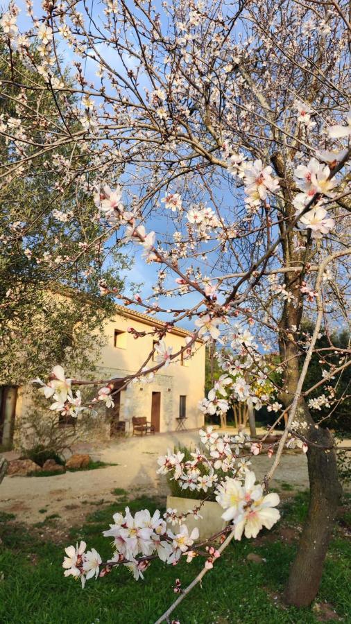 Can Costals Naturaleza Pals Exterior photo