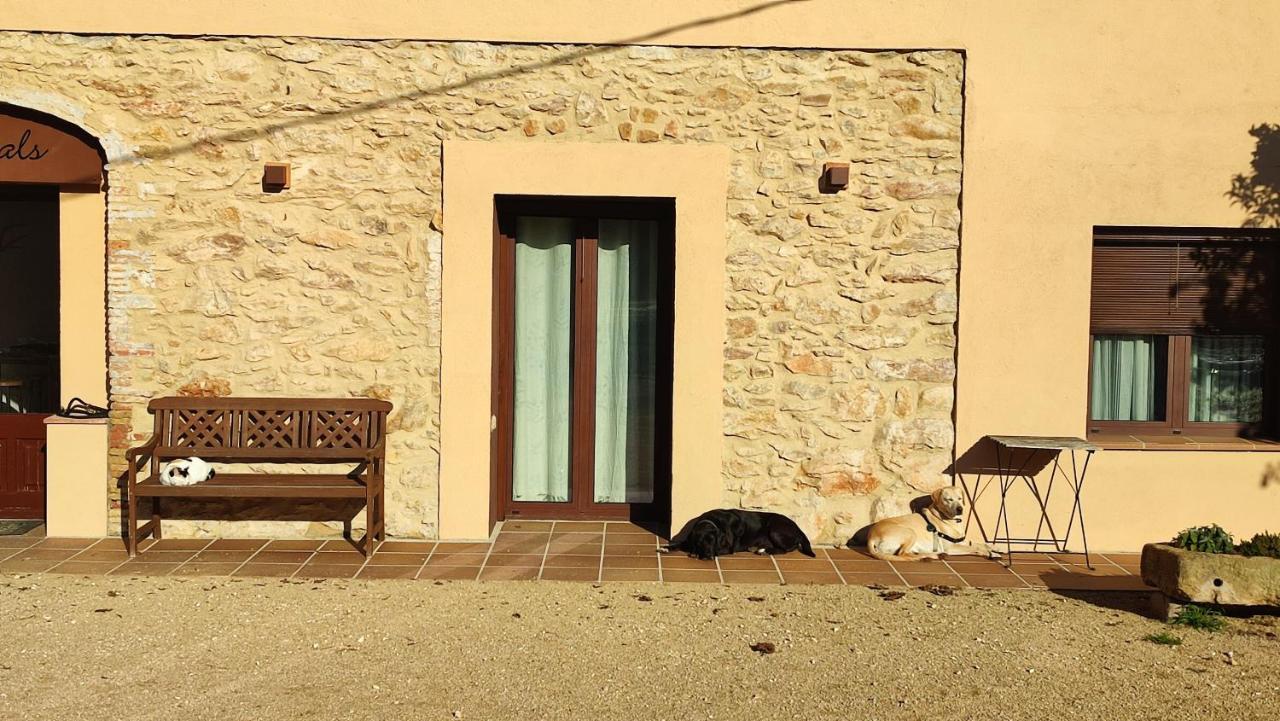 Can Costals Naturaleza Pals Exterior photo